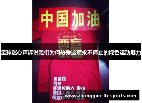 足球迷心声诉说我们为何热爱这项永不停止的绿色运动魅力