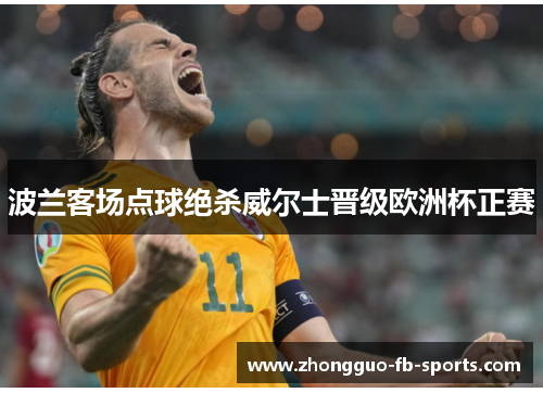 波兰客场点球绝杀威尔士晋级欧洲杯正赛