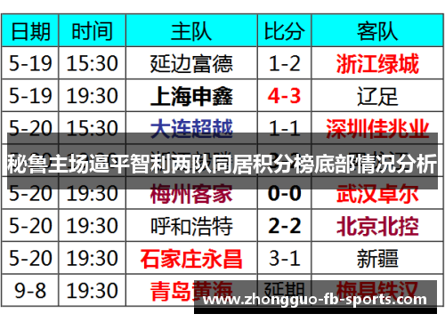 秘鲁主场逼平智利两队同居积分榜底部情况分析
